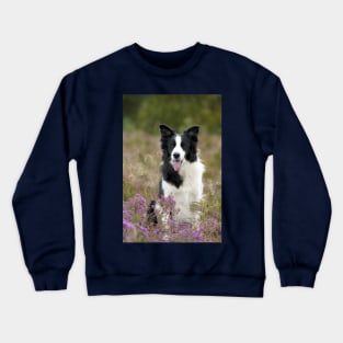 Border Collie Sitting in a Field of Flowers, Smiling With Tongue Out Crewneck Sweatshirt